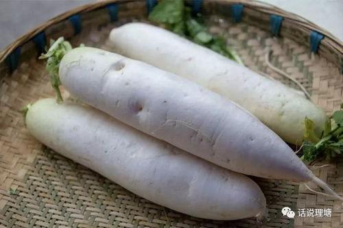 樹生態(tài)農(nóng)業(yè)新形象 理塘縣舉辦生態(tài)農(nóng)產(chǎn)品展銷會(huì)助力農(nóng)副產(chǎn)品銷售