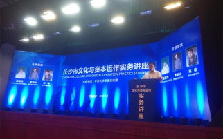 專家論道長沙 文化資本融合，借力新三板與互聯網共舞